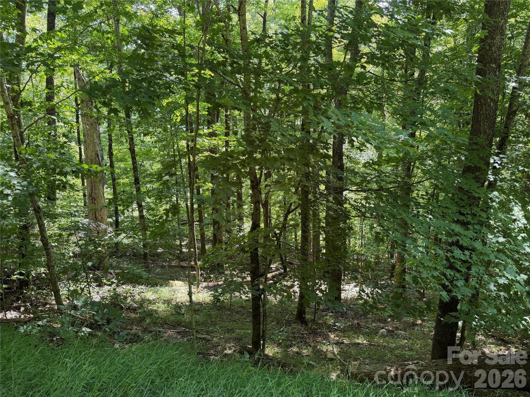 00 Chestnut Village Lane