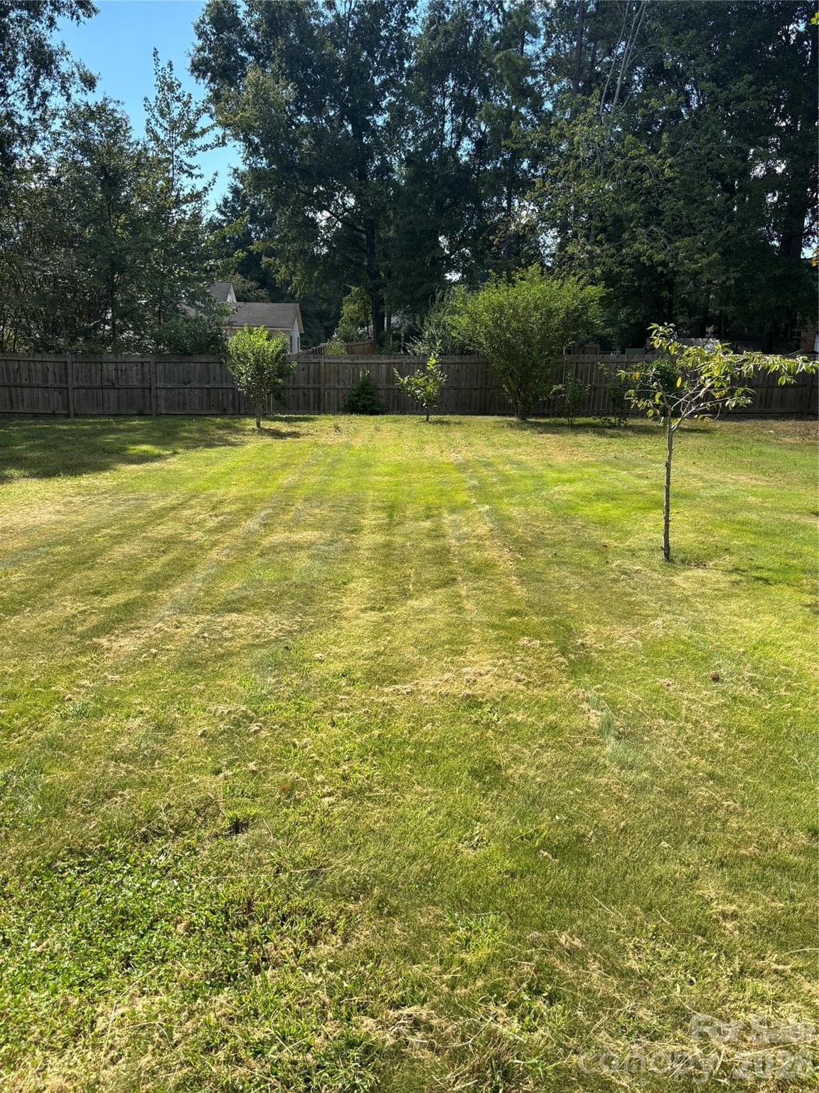 Backyard - 7115 Powder Mill Place, Charlotte