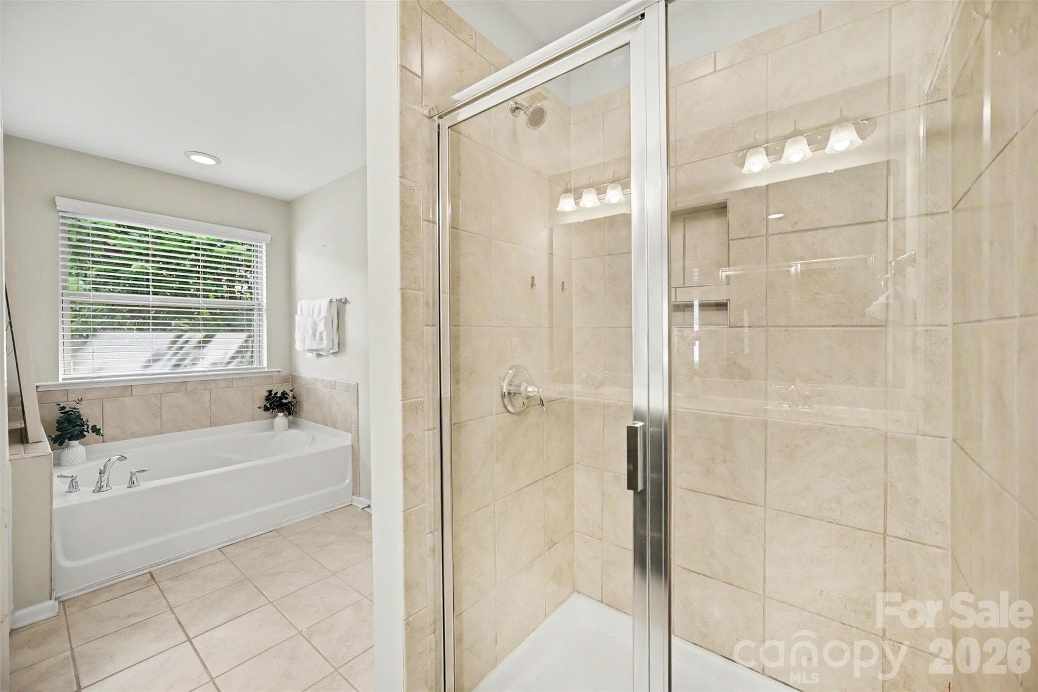 Primary bathroom with garden tub and walk-in shower - 824 Ayrshire Avenue, Fort Mill