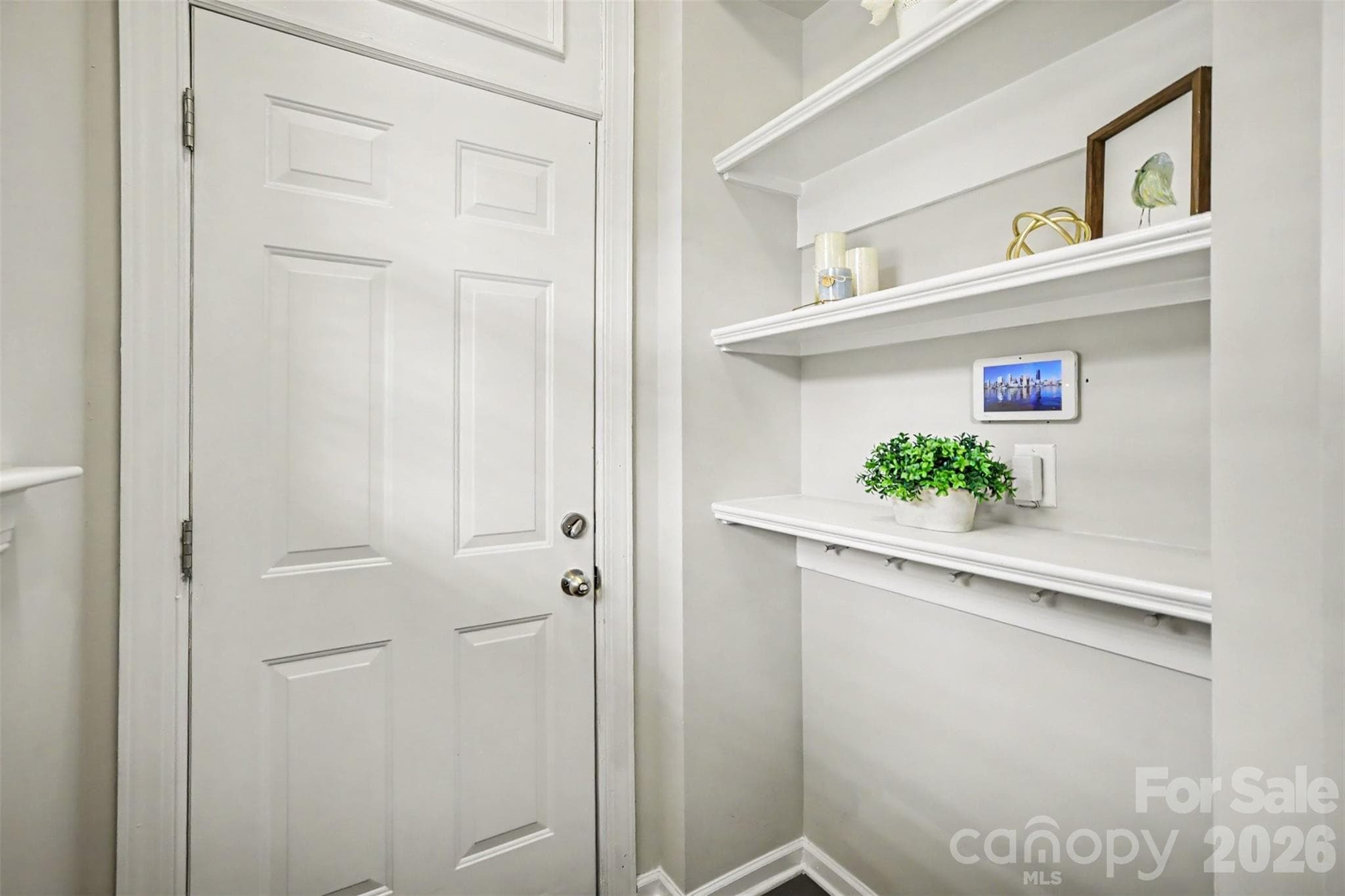 Drop zone by garage entry - 824 Ayrshire Avenue, Fort Mill