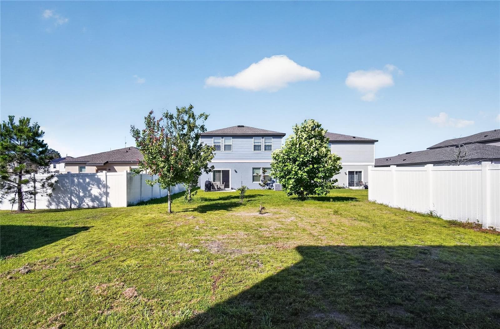 Backyard - 35568 SHADE FERN LN, ZEPHYRHILLS
