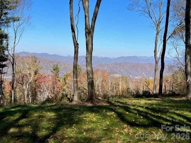 Lot at Hendersonville, photo 2 of 54