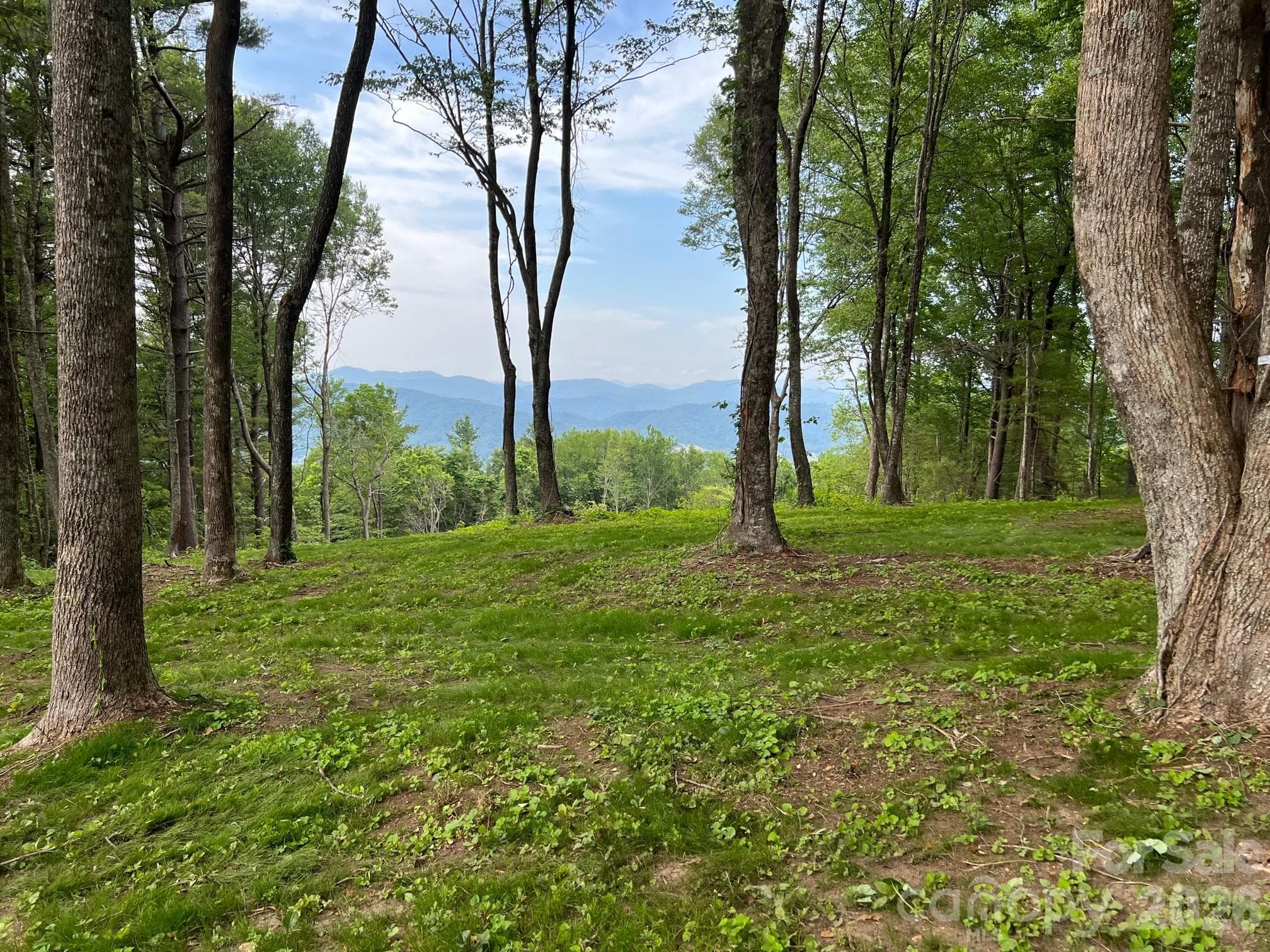 Lot at Hendersonville, photo 4 of 54