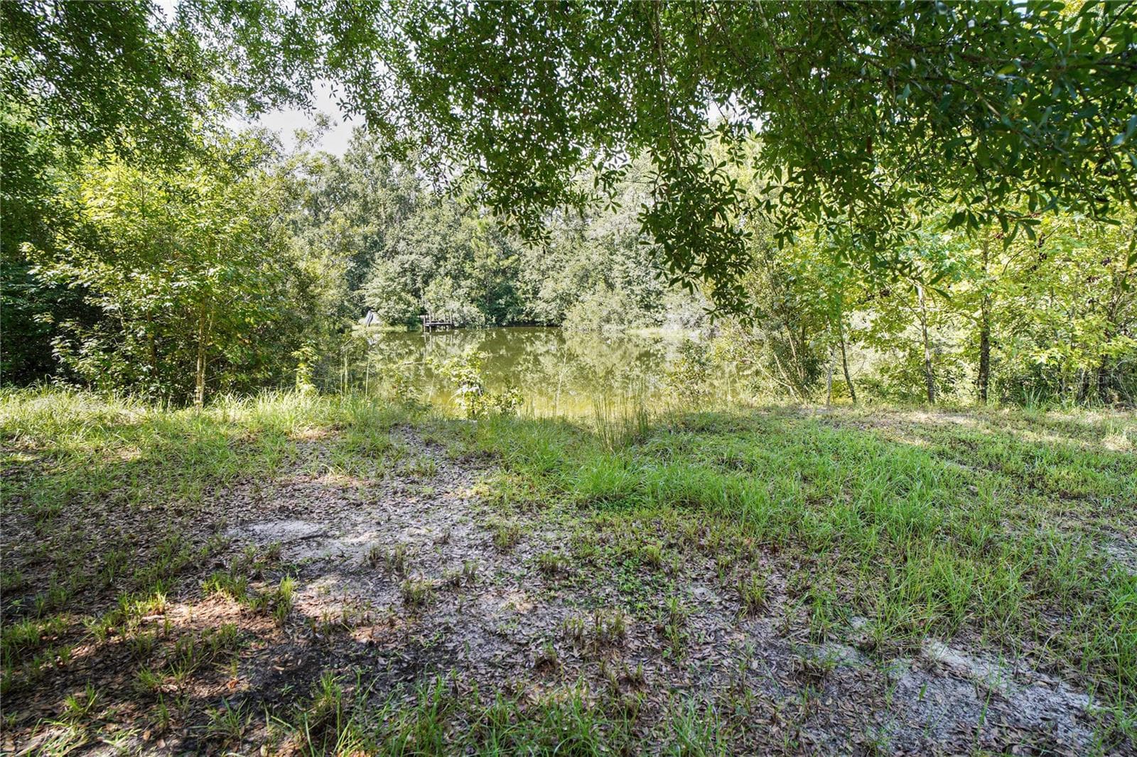 Land at KARLOTTA LN, LAND O LAKES, photo 13 of 17