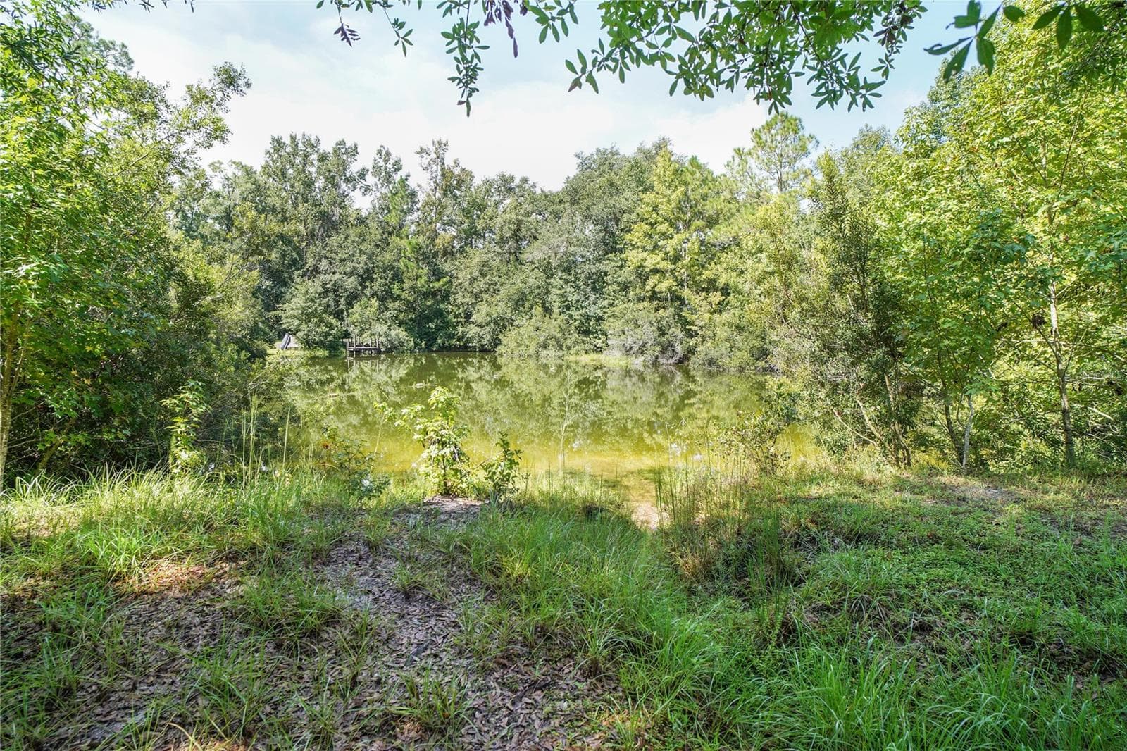 Land at KARLOTTA LN, LAND O LAKES, photo 14 of 17
