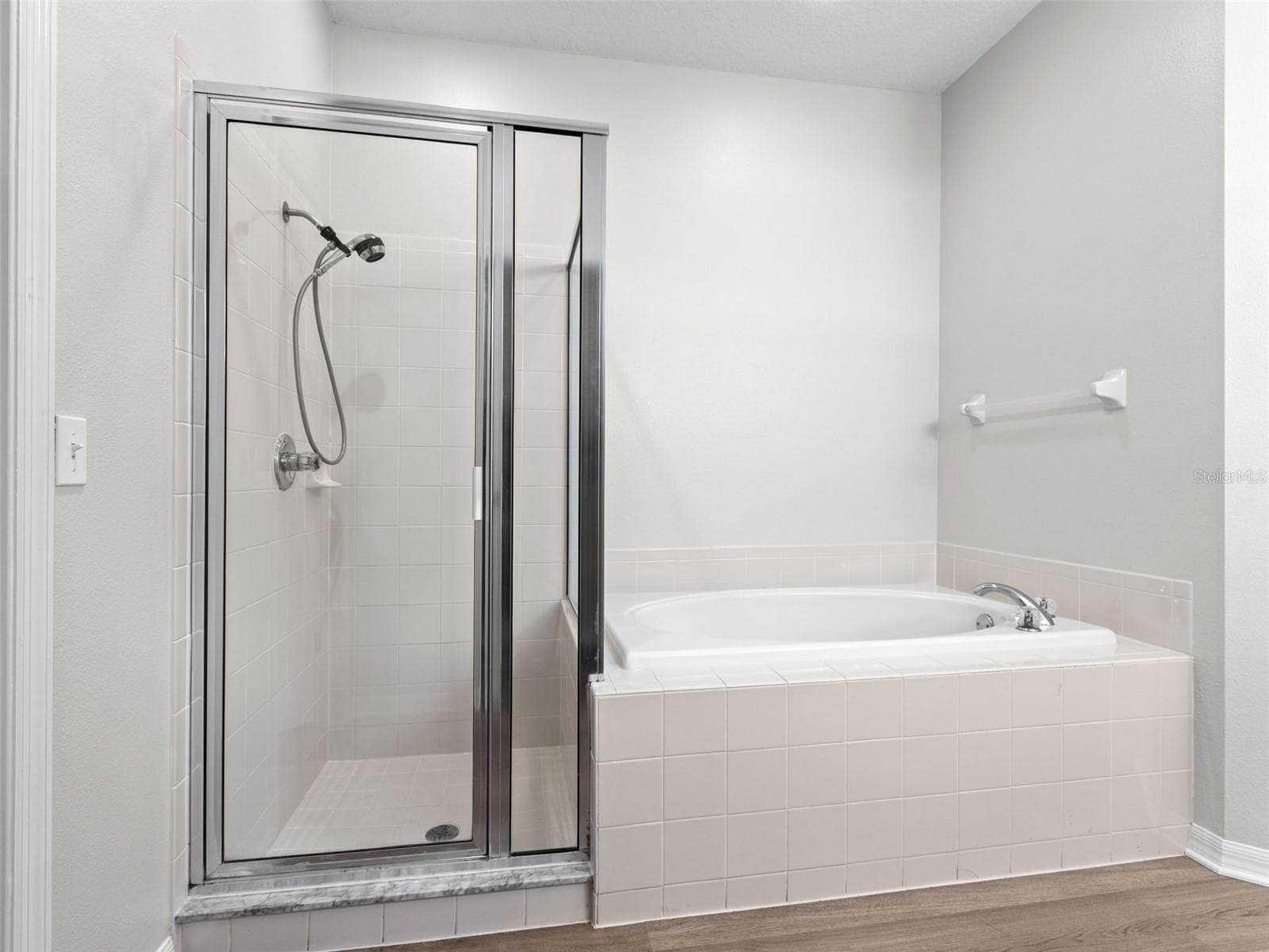 Garden tub and separate shower - 17912 HAVENVIEW LN, LUTZ