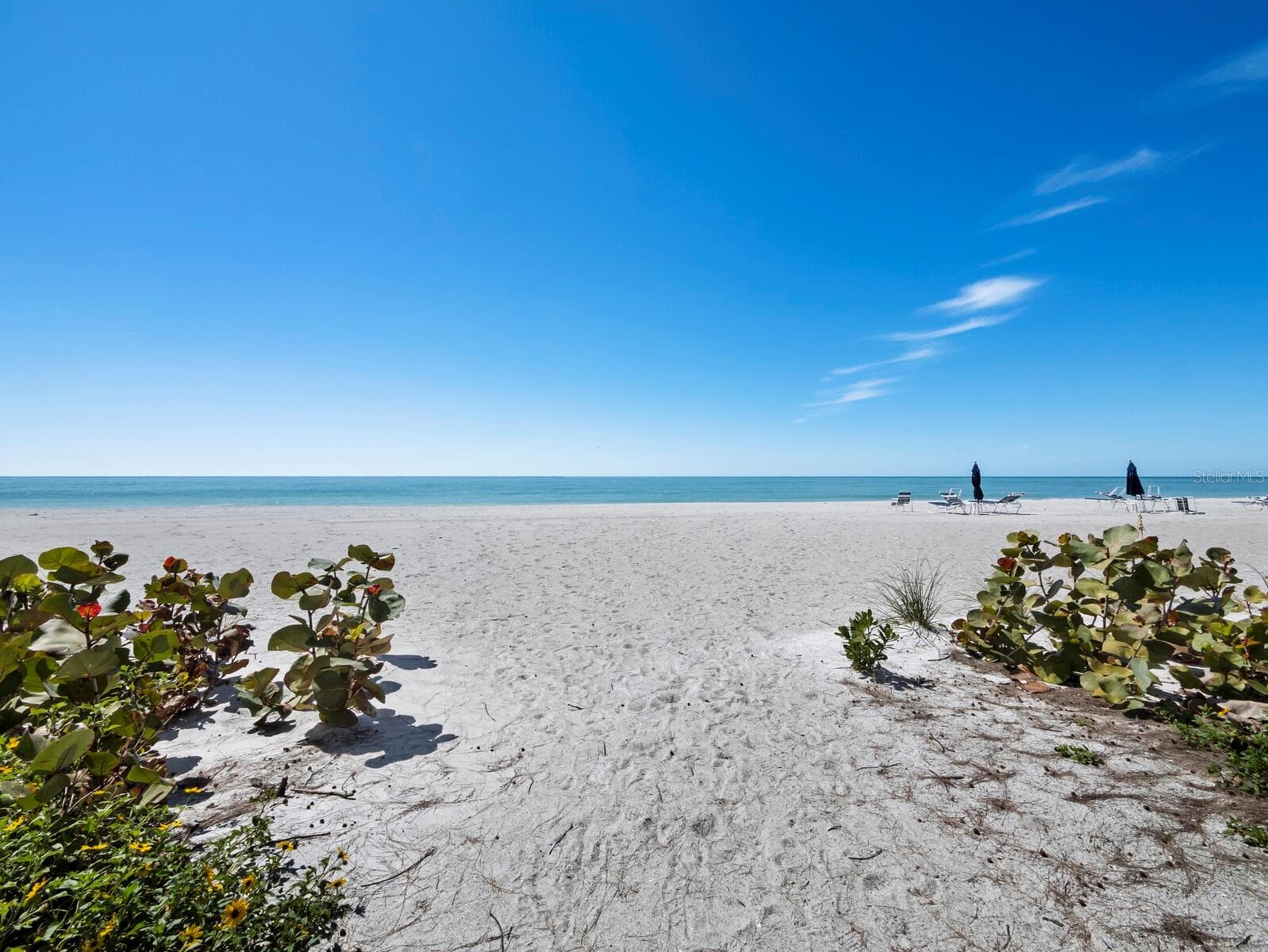 Condominium at 5055 GULF OF MEXICO DR #115, LONGBOAT KEY, photo 6 of 41