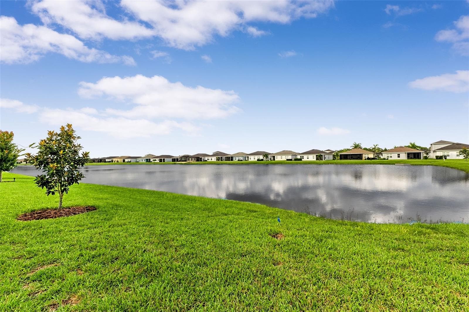 pond view - 16363 COCONUT PALM DR, PORT CHARLOTTE
