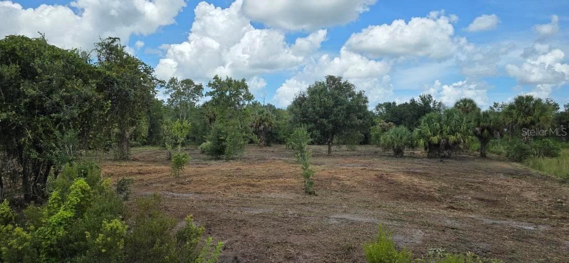 Land at 16171 NW 254TH ST, OKEECHOBEE, photo 2 of 16