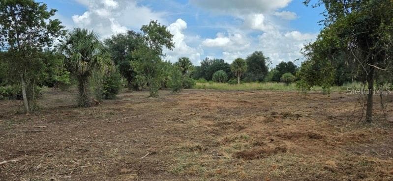 Land at 16171 NW 254TH ST, OKEECHOBEE, photo 3 of 16