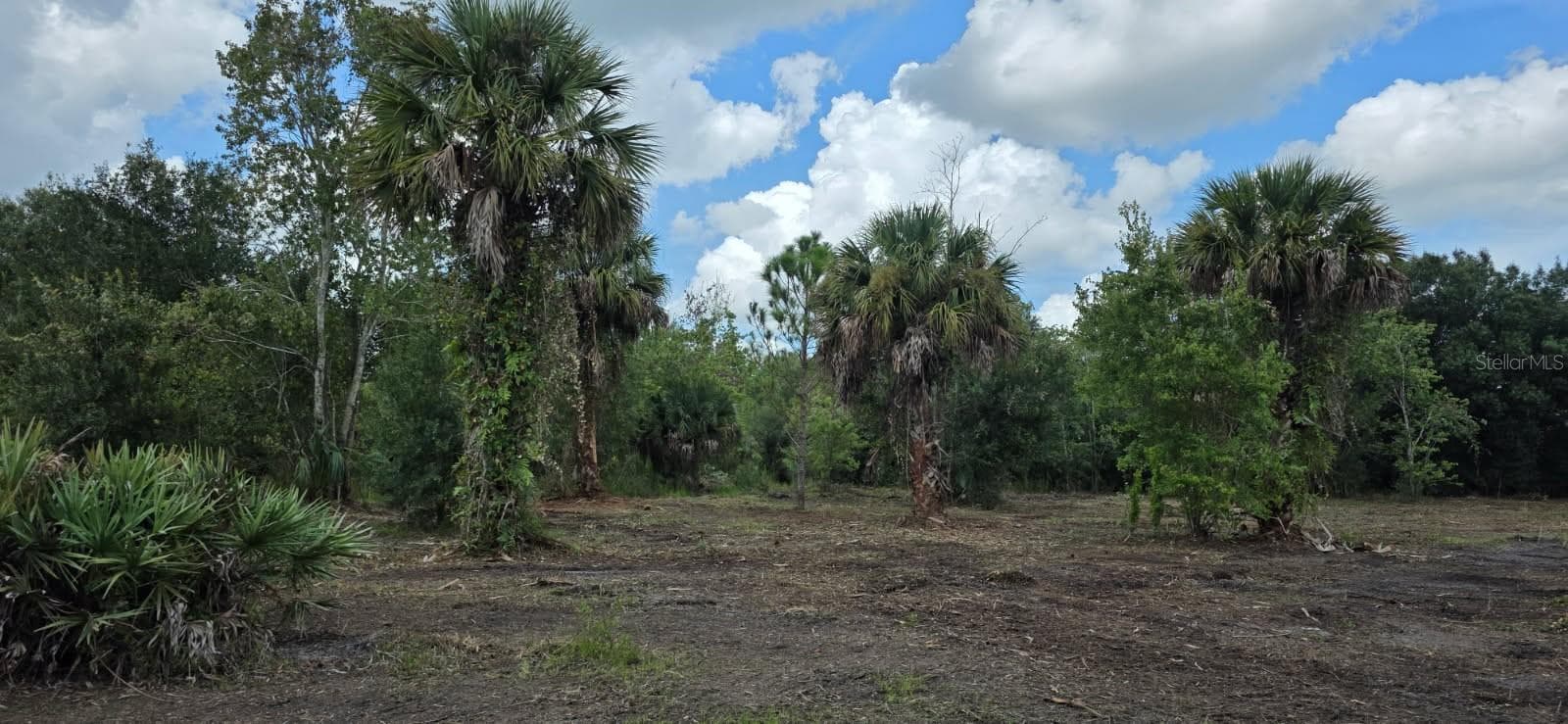 Land at 16171 NW 254TH ST, OKEECHOBEE, photo 5 of 16