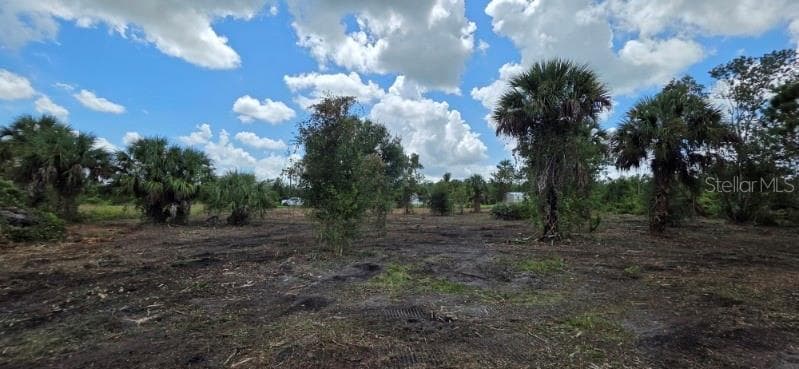 Land at 16171 NW 254TH ST, OKEECHOBEE, photo 7 of 16