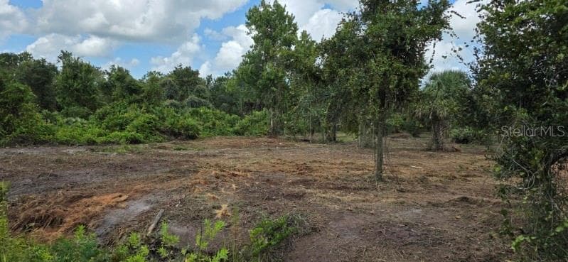 Land at 16171 NW 254TH ST, OKEECHOBEE, photo 13 of 16