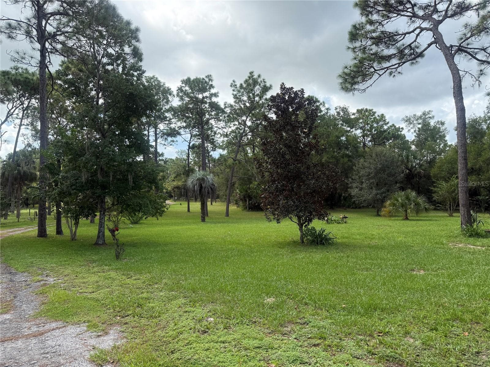 Single Family Residence at 8459 W OAK ST, CRYSTAL RIVER, photo 44 of 62