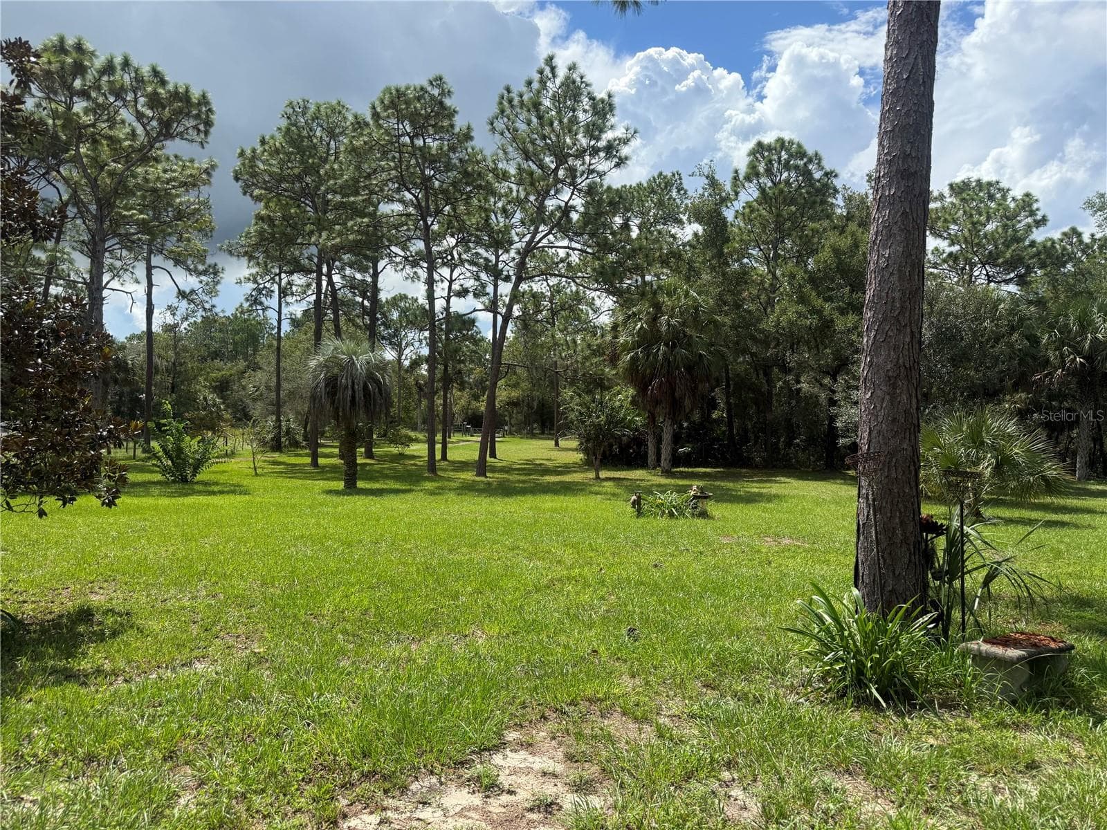 Single Family Residence at 8459 W OAK ST, CRYSTAL RIVER, photo 61 of 62