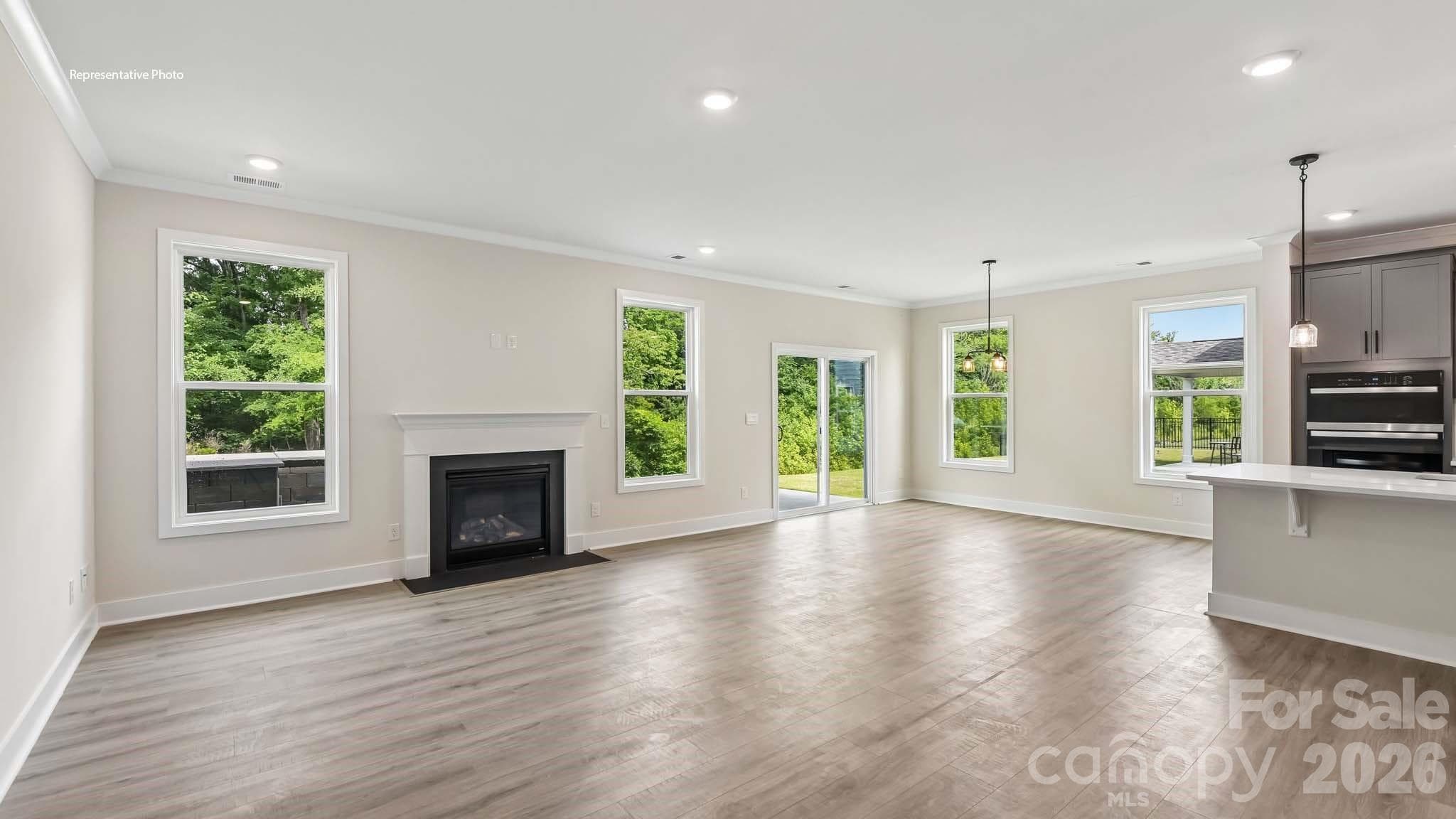 Single Family Residence at 1003 Tundra Swan Drive, Indian Trail, photo 4 of 35
