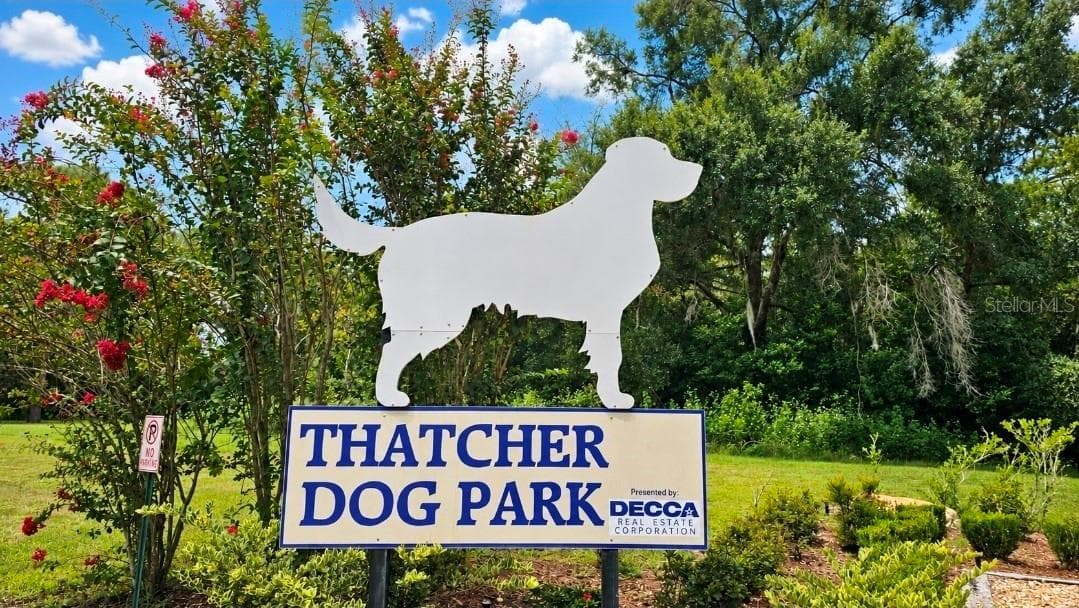 Huge Dog Park with rolling hills for added fun - 9282 SW 109TH LN, OCALA
