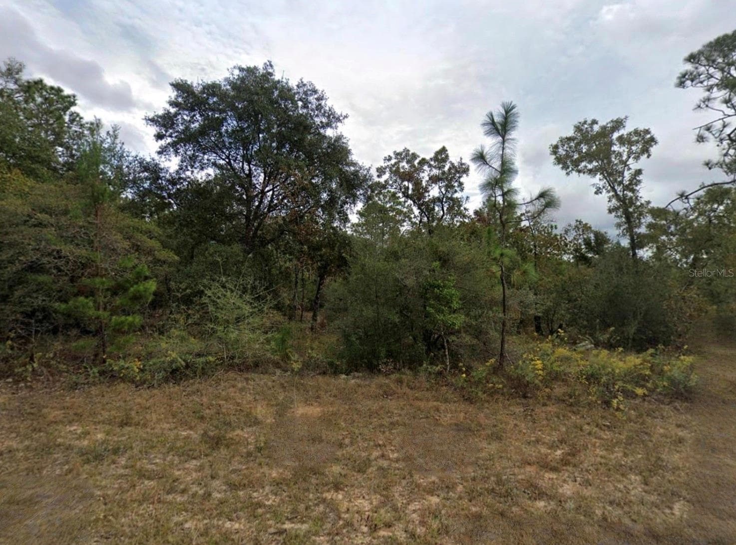 Land at UNASSAIGNED, CHIPLEY, photo 2 of 2