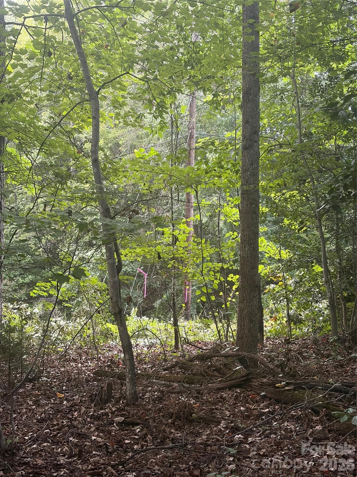 Lot 3 Edgewood Road