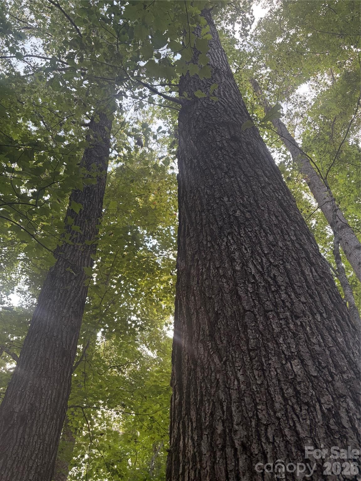 Lot 5 Edgewood Road