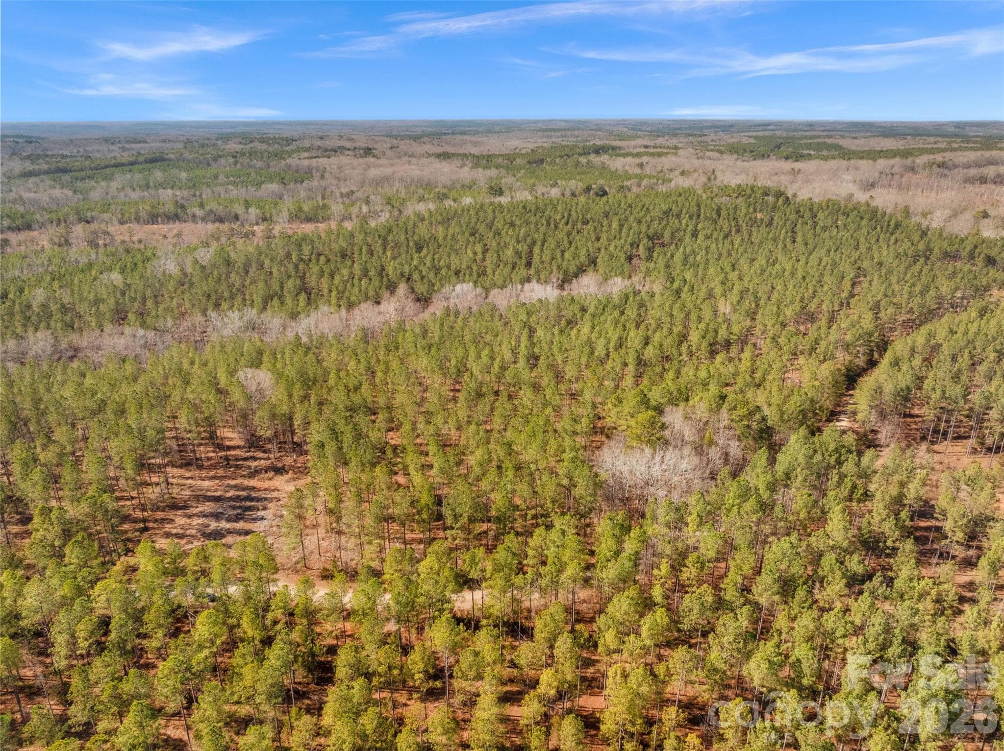 Gorgeous mature pines - 000 Peacehaven Road, McConnells
