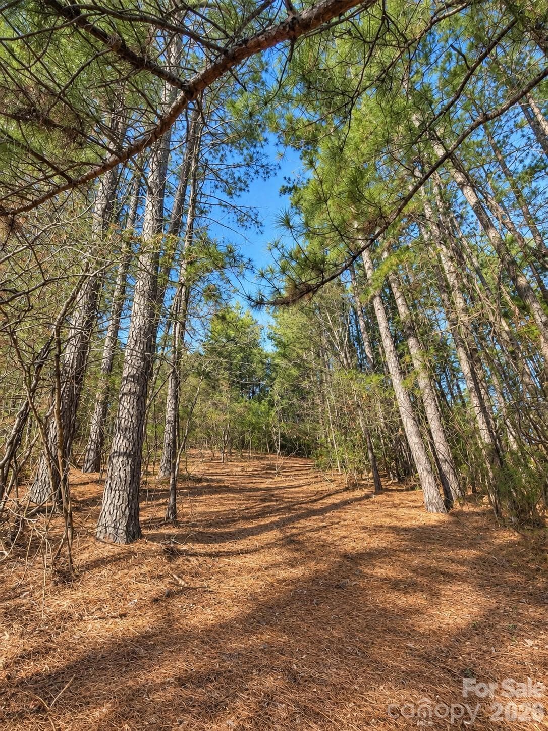 Lot at 5126 Hurricane Hill Road, Granite Falls, photo 3 of 12