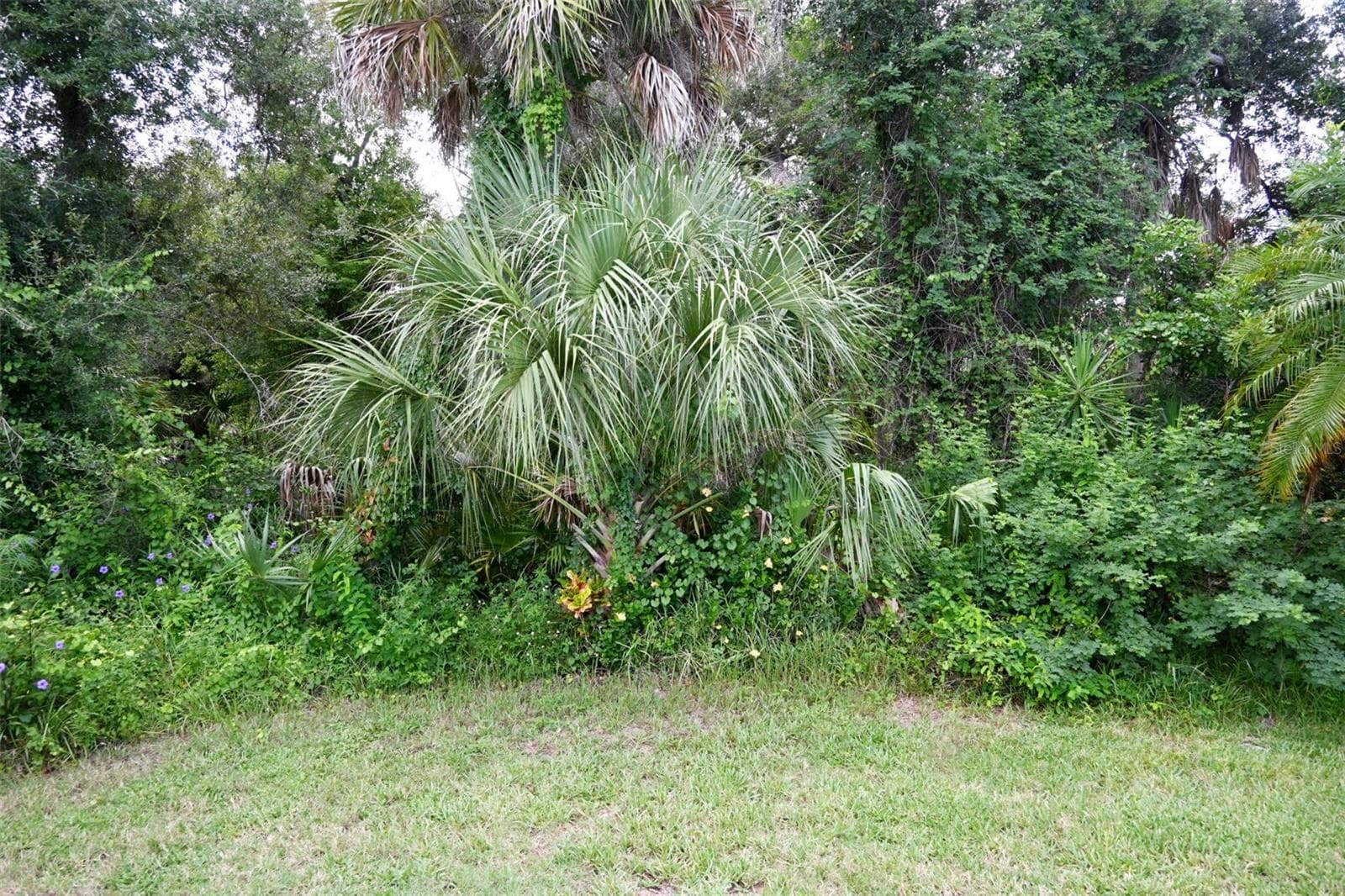Private Preserve Views. Nobody behind you. - 8351 CREEKVIEW LN, ENGLEWOOD