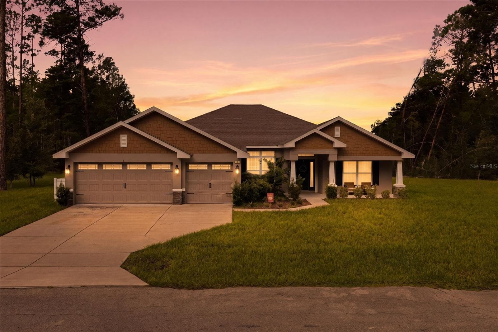 5 PETUNIAS CT