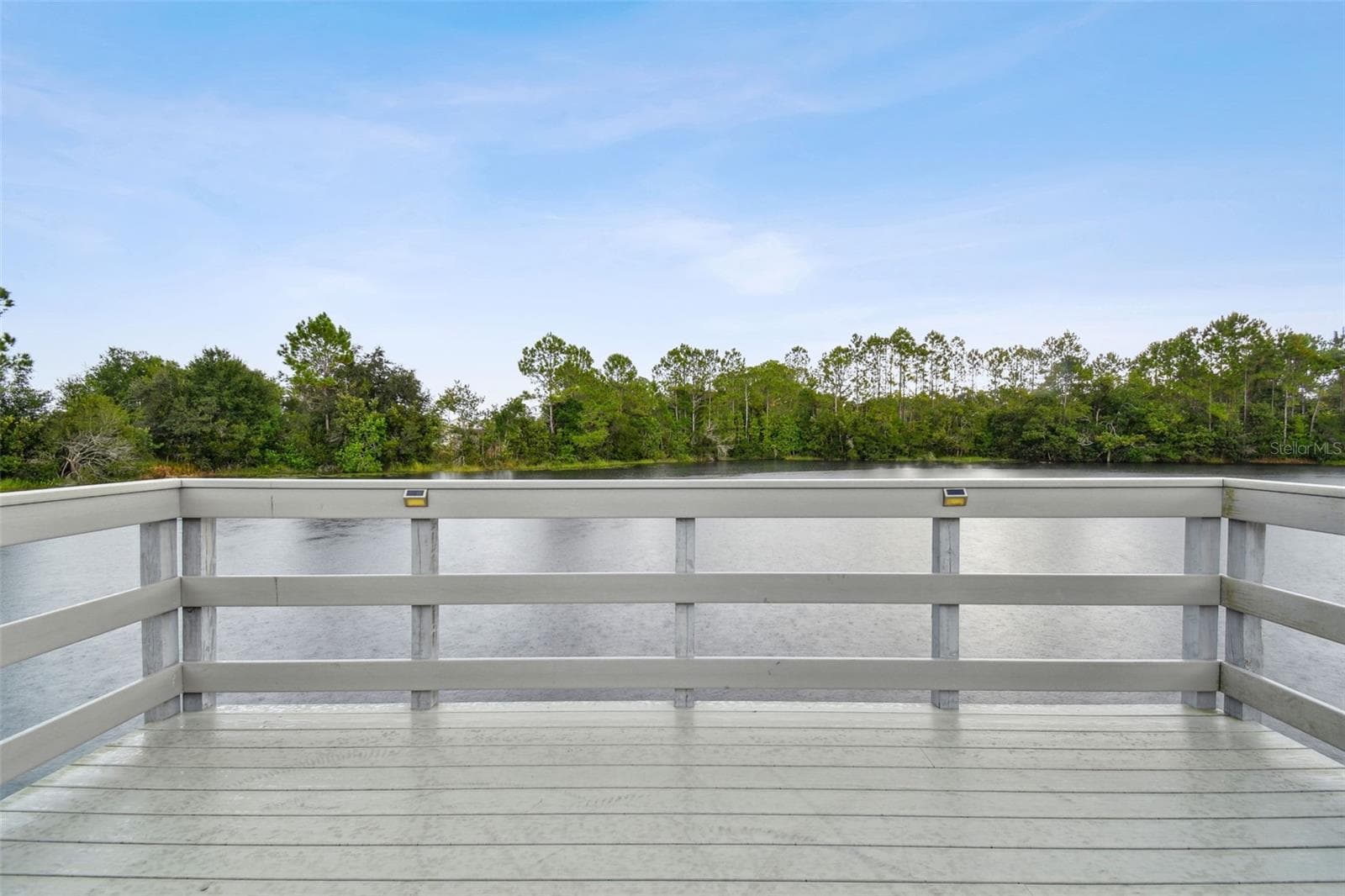 Single Family Residence at 3335 STONEGATE FALLS DR, LAND O LAKES, photo 84 of 85