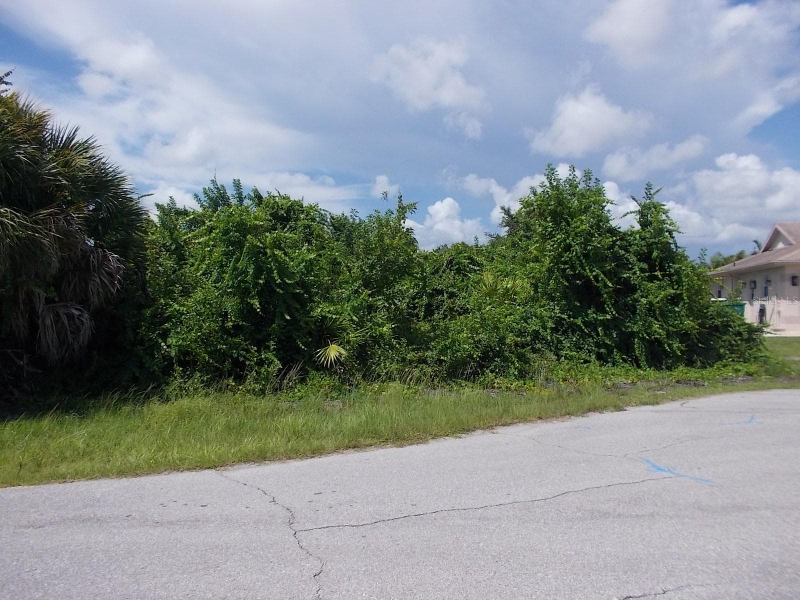 Looking at the lot from the street - 140 SWAN DR, ROTONDA WEST