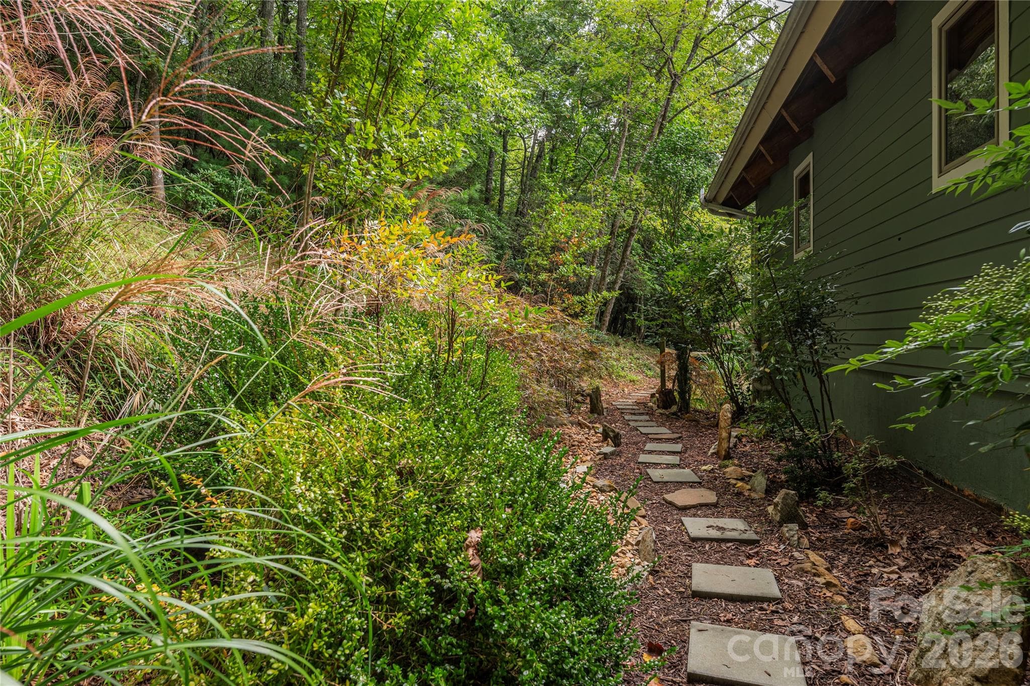 Native landscaping - 116 Ivy Road, Mills River