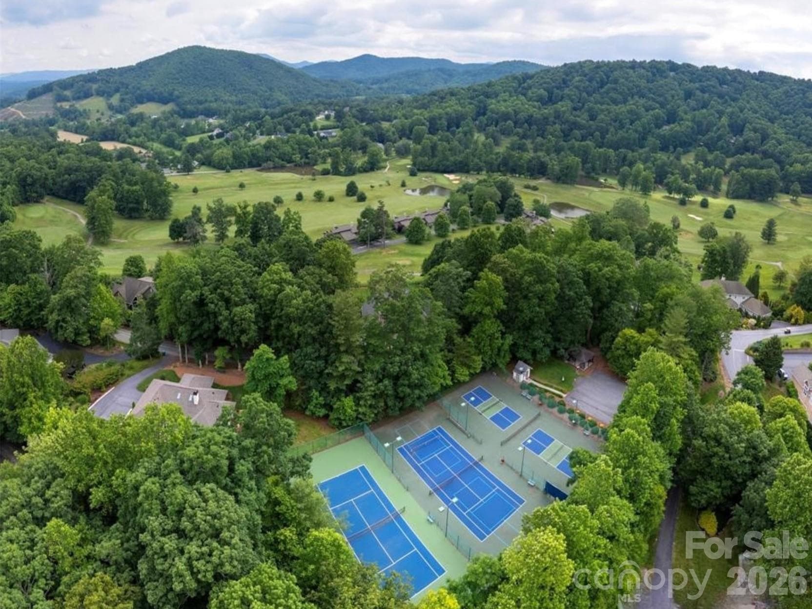 Tennis and pickle ball courts - 116 Ivy Road, Mills River
