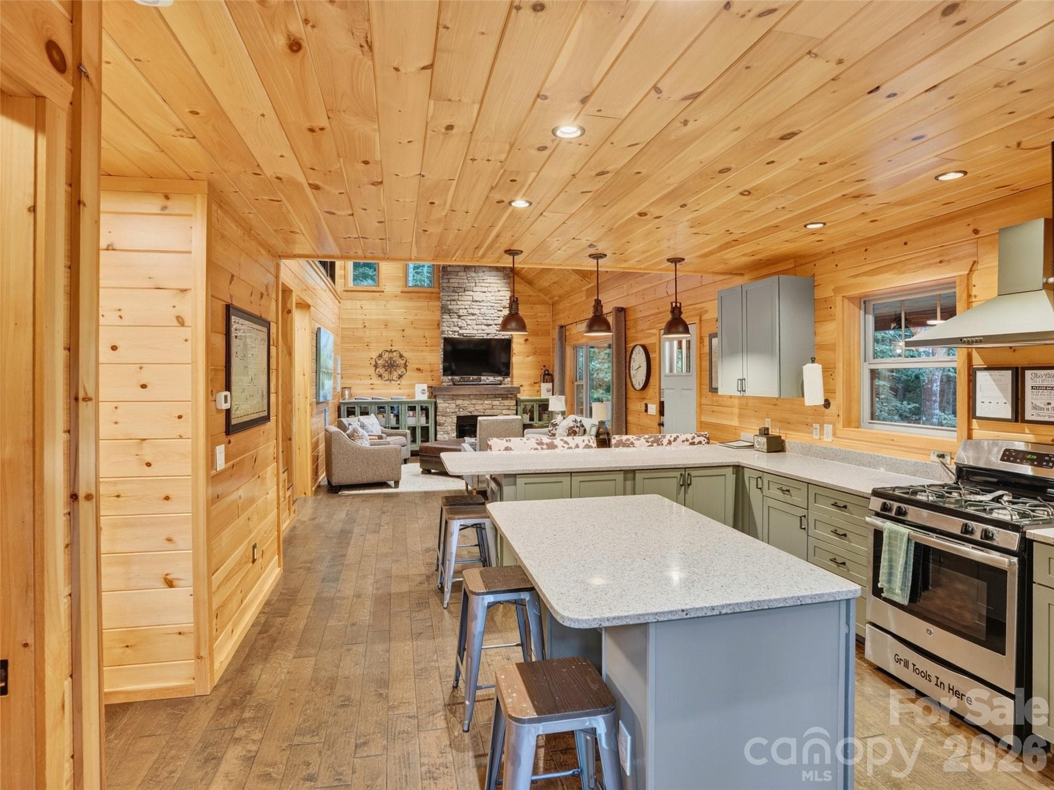 Single Family Residence at 3050 Green River Cove Road, Saluda, photo 6 of 48