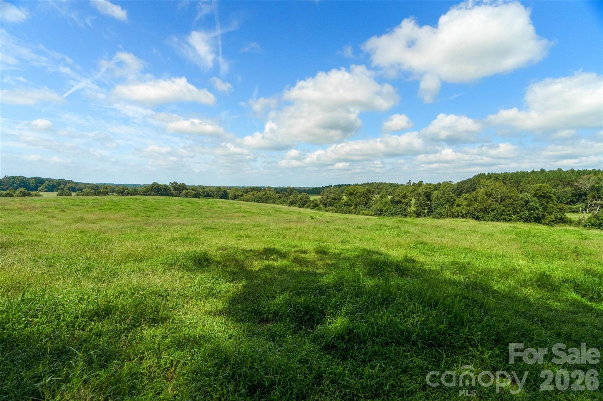 Acreage at 0000 Lucy Short Cut Road, Marshville, photo 8 of 48