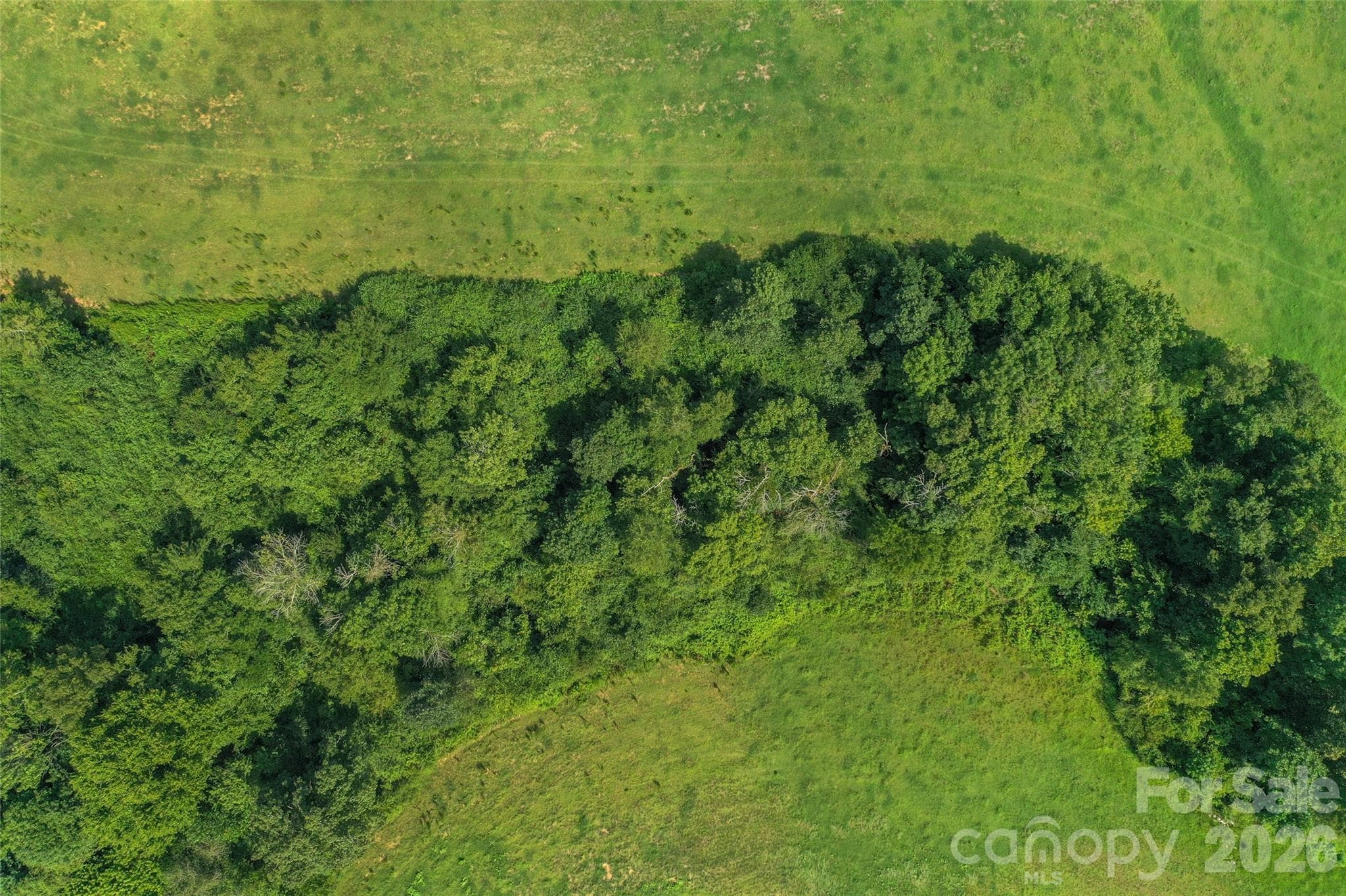 Acreage at 0000 Lucy Short Cut Road, Marshville, photo 17 of 48