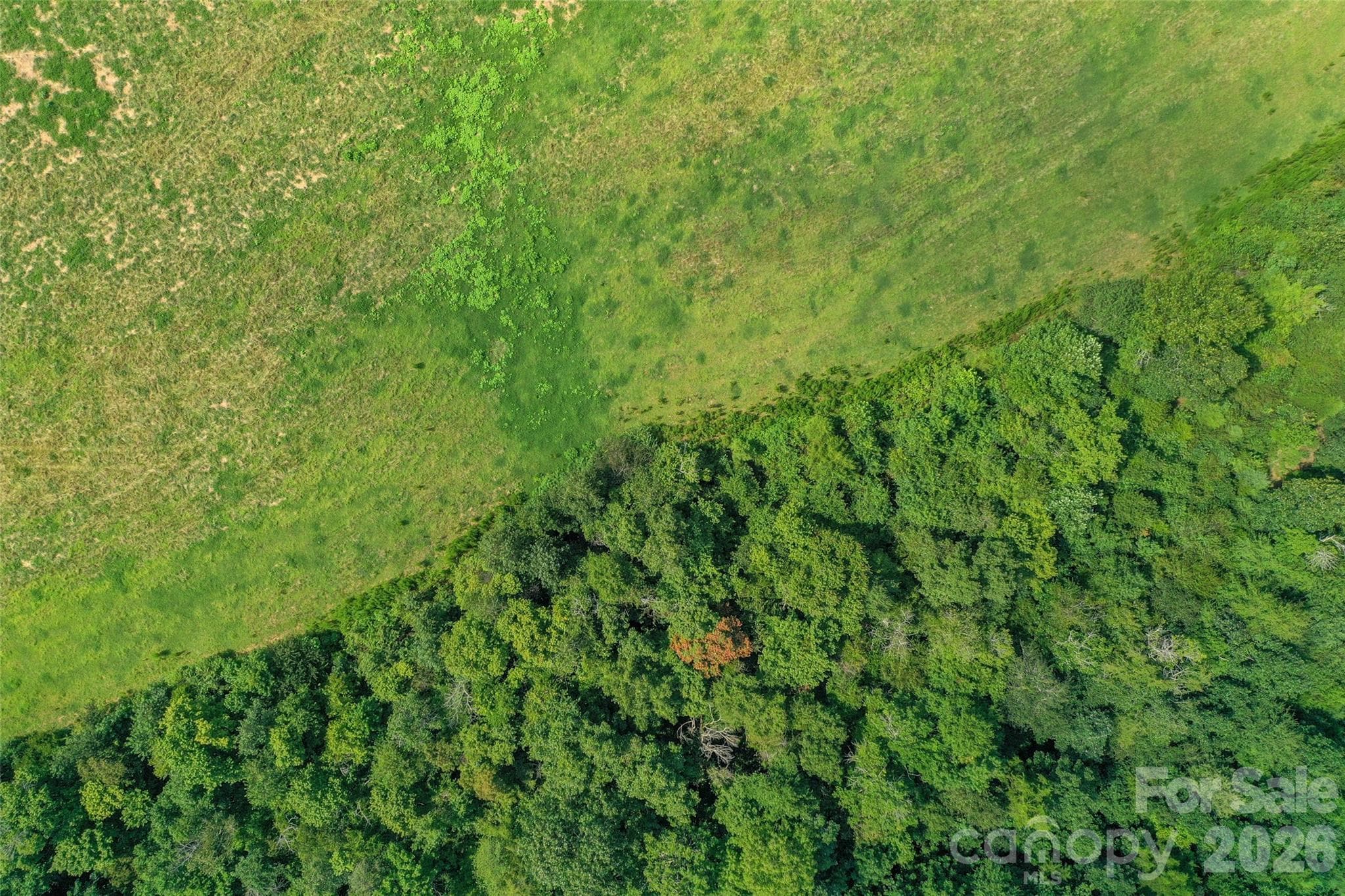 Acreage at 0000 Lucy Short Cut Road, Marshville, photo 18 of 48