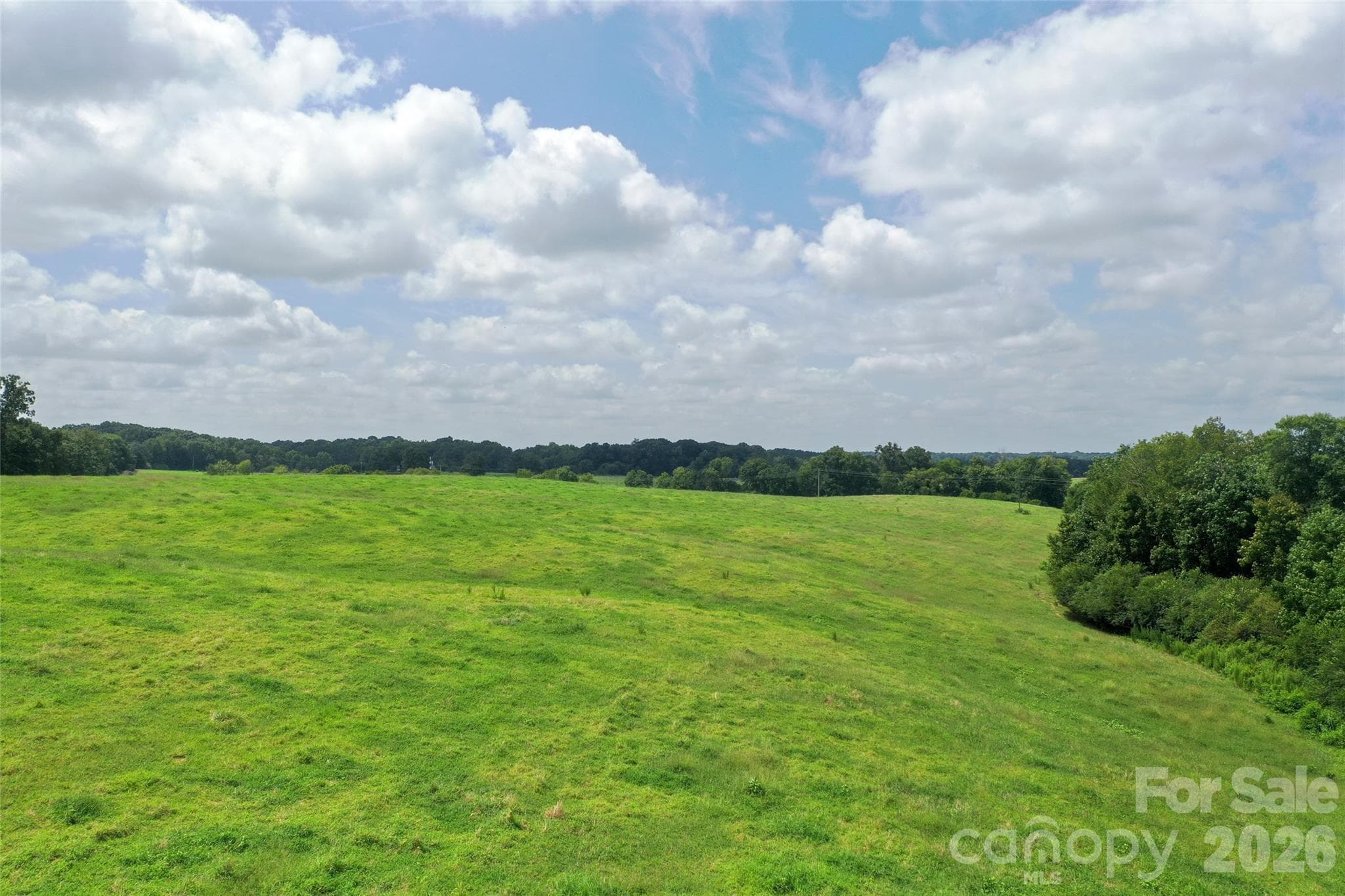 Acreage at 0000 Lucy Short Cut Road, Marshville, photo 22 of 48