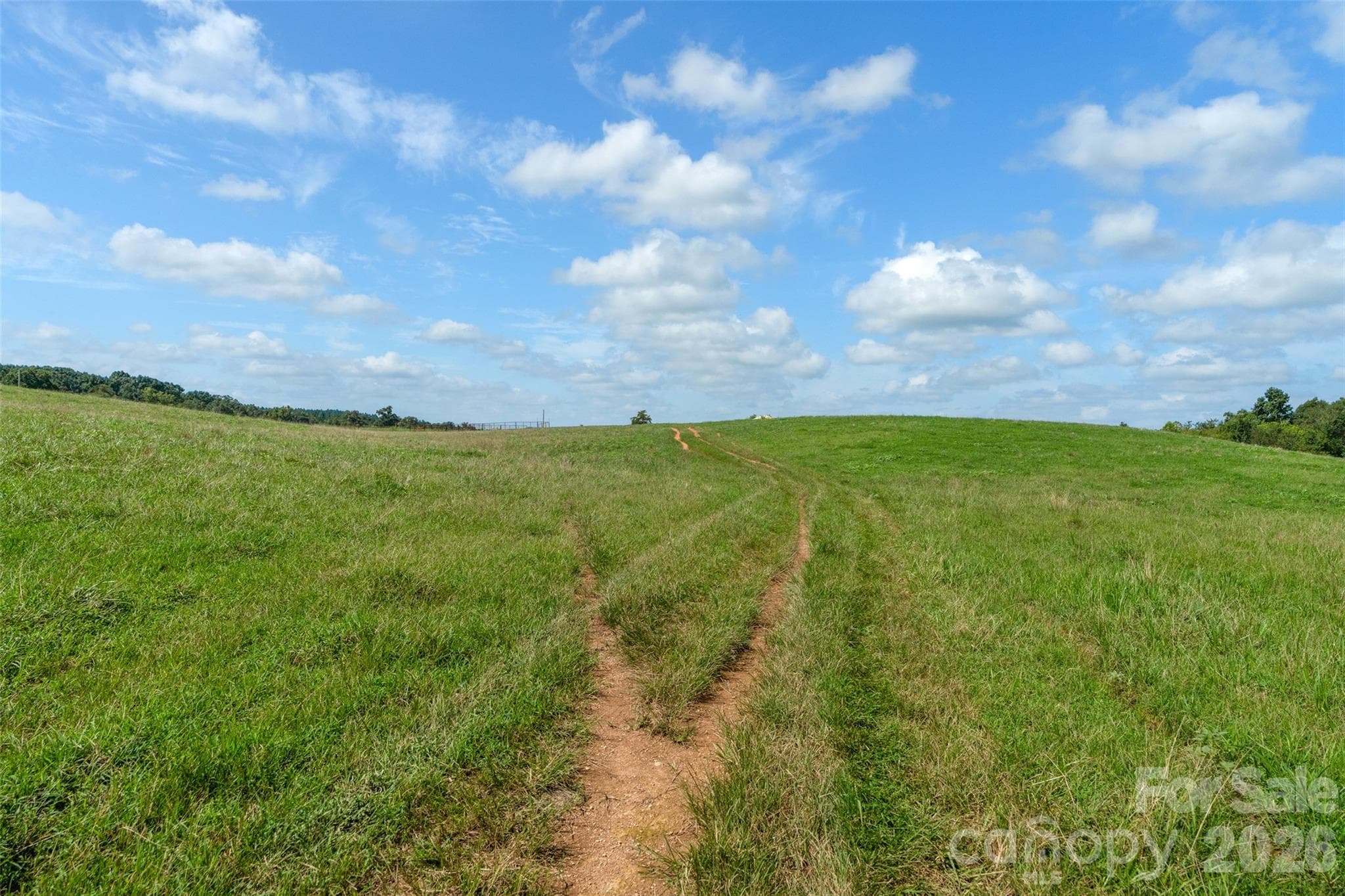 Acreage at 0000 Lucy Short Cut Road, Marshville, photo 39 of 48