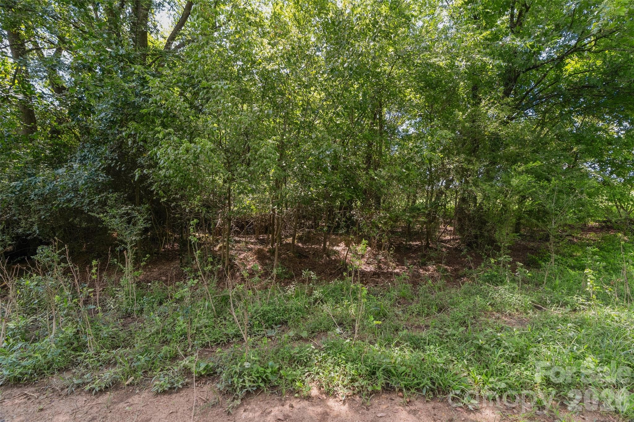 Acreage at 0000 Lucy Short Cut Road, Marshville, photo 42 of 48