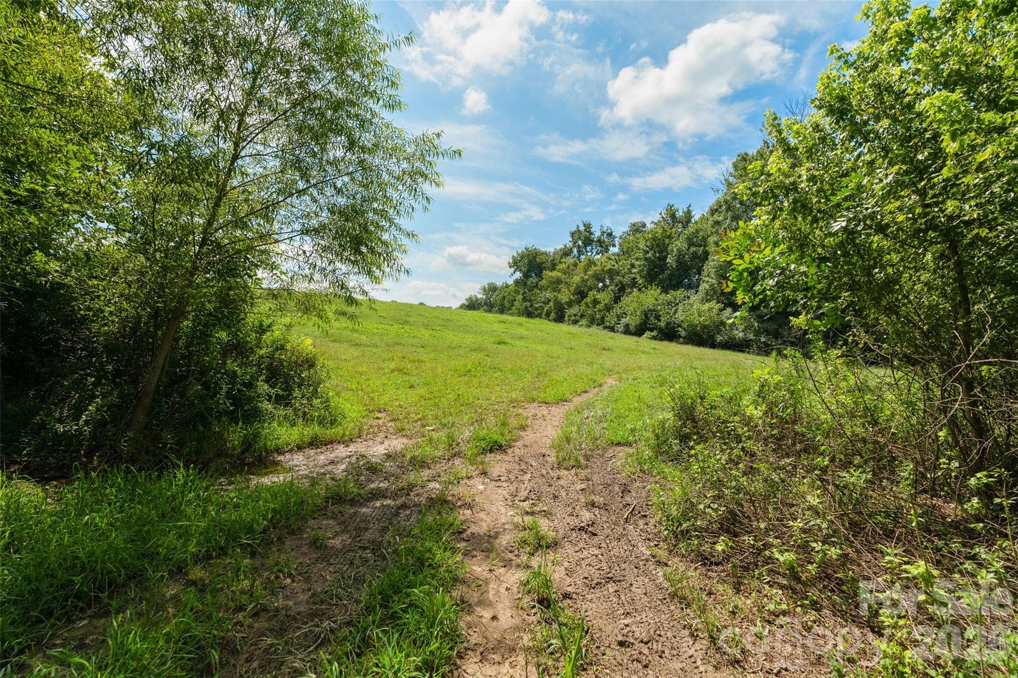 Acreage at 0000 Lucy Short Cut Road, Marshville, photo 46 of 48