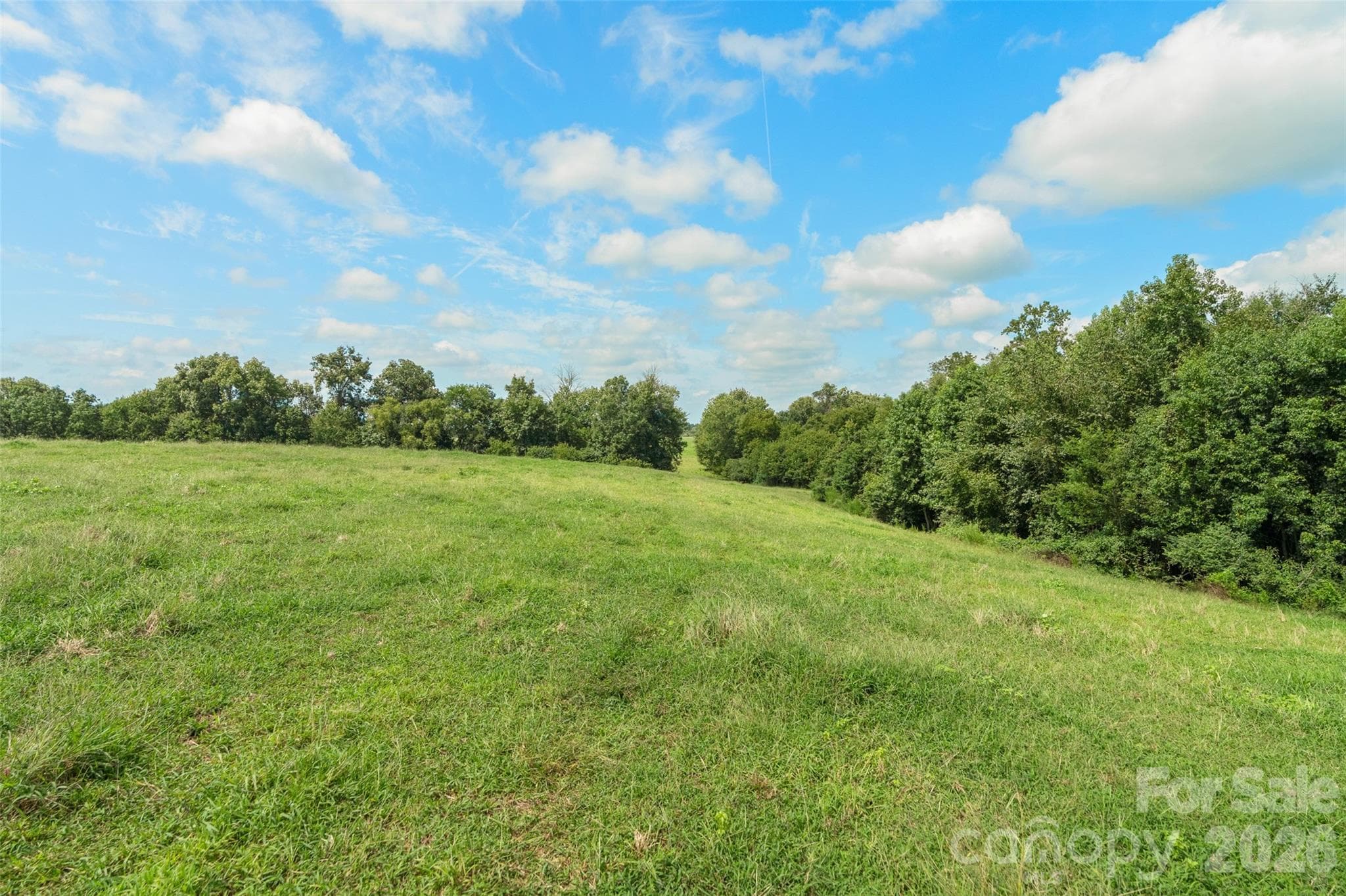 Acreage at 0000 Lucy Short Cut Road, Marshville, photo 47 of 48