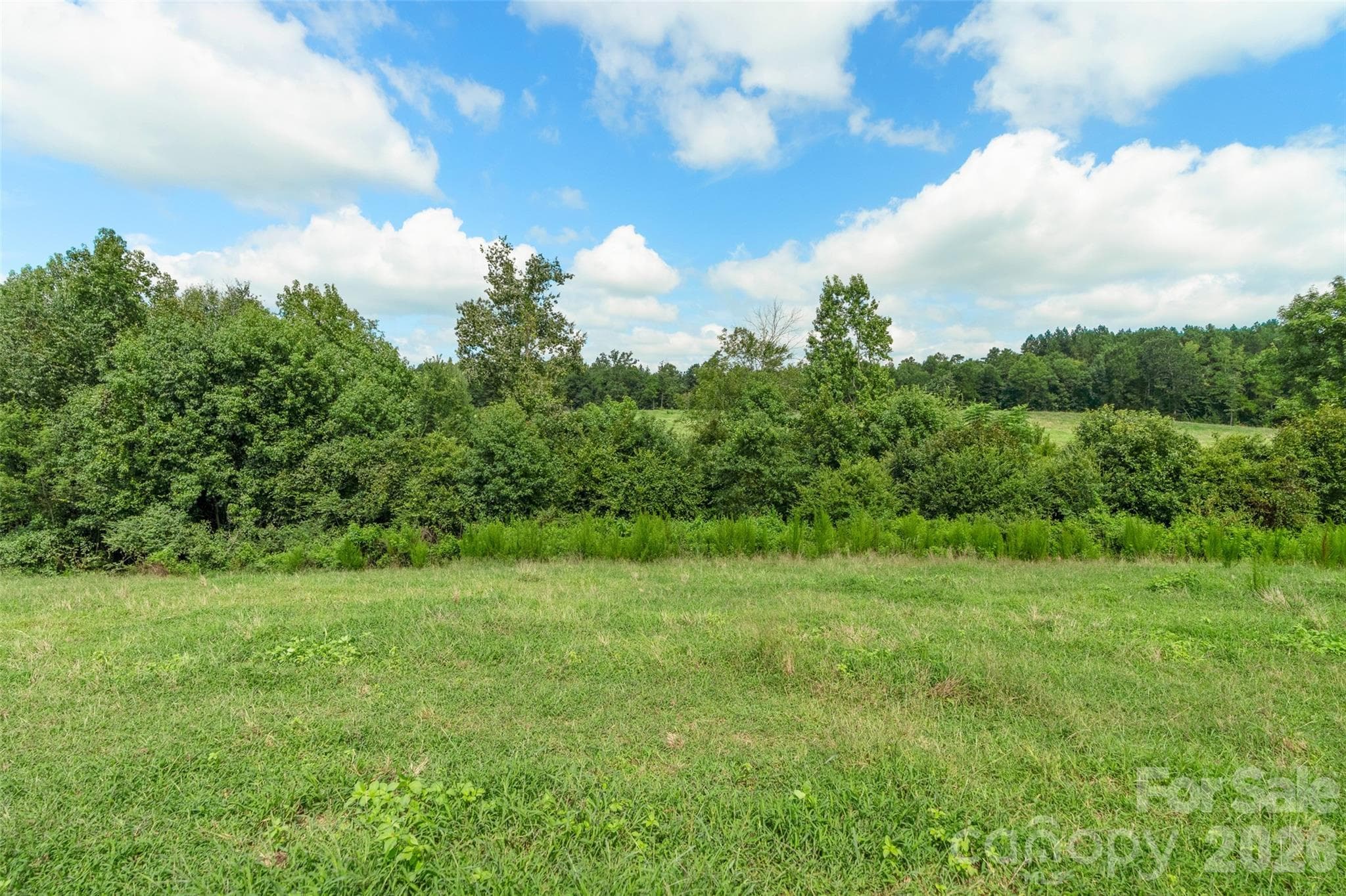 Acreage at 0000 Lucy Short Cut Road, Marshville, photo 48 of 48