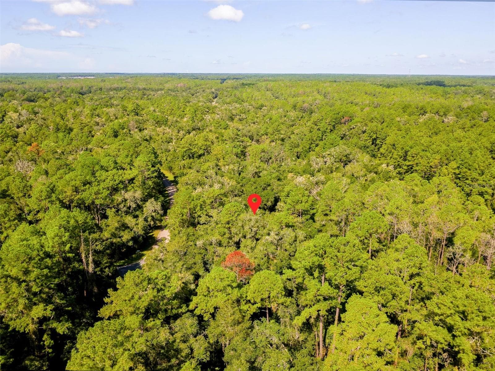 Land at 1135 E ODIN DR, CITRUS SPRINGS, photo 7 of 14