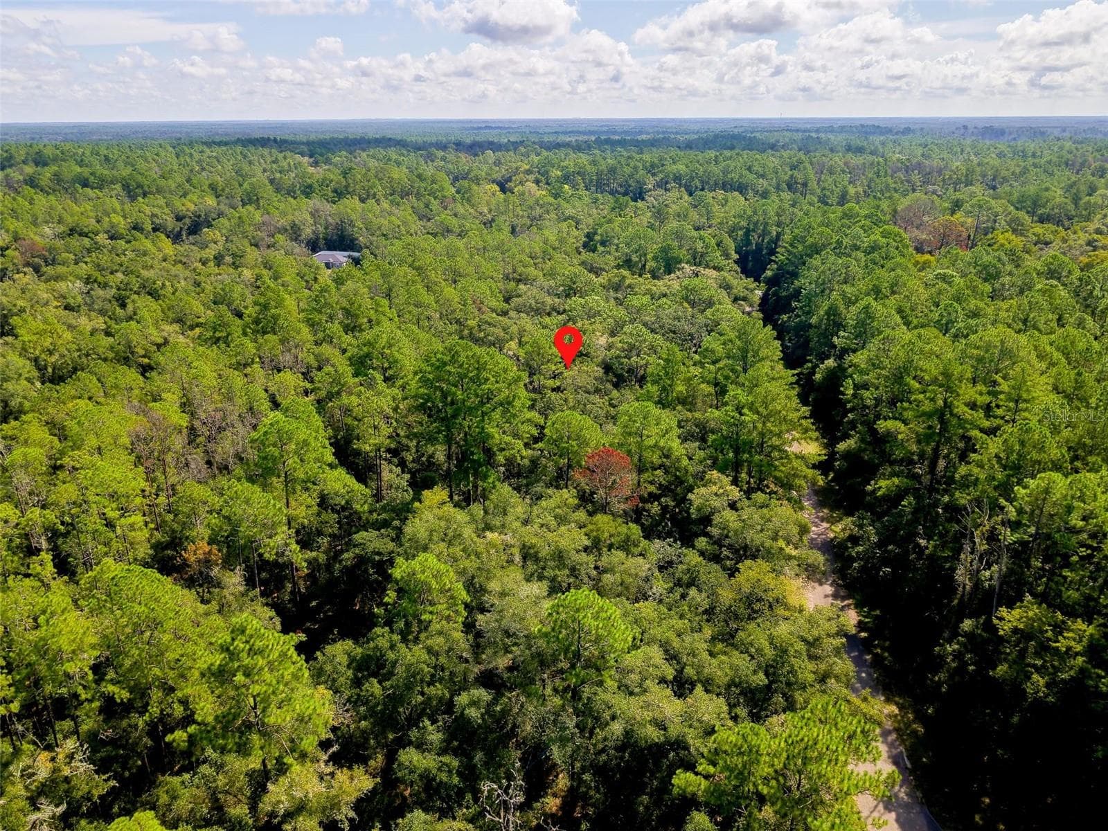 Land at 1163 E ODIN DR, CITRUS SPRINGS, photo 4 of 14