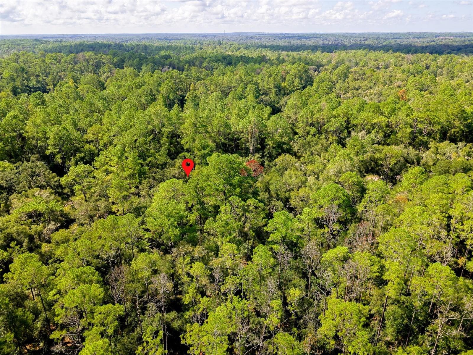 Land at 1163 E ODIN DR, CITRUS SPRINGS, photo 5 of 14