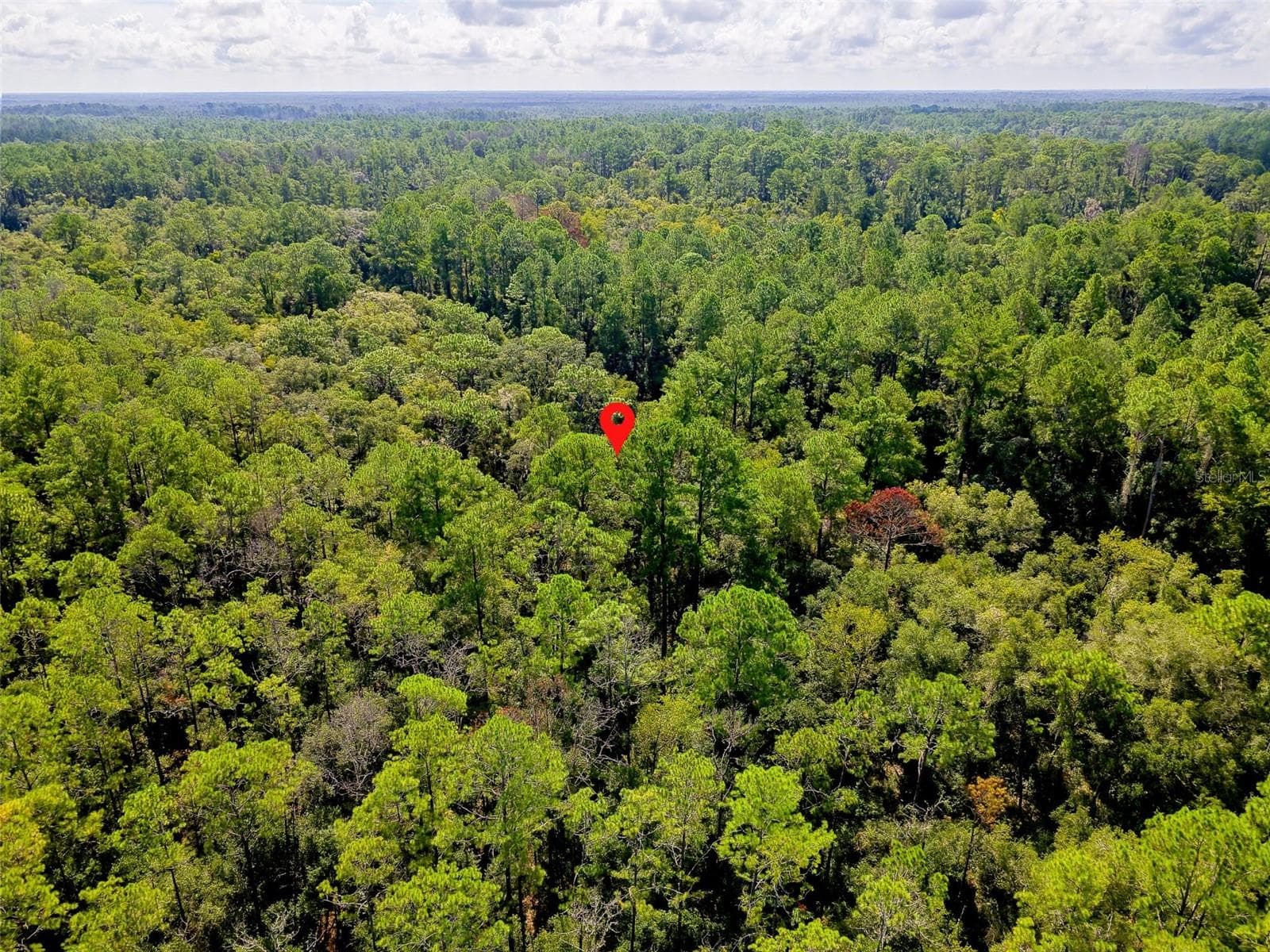 Land at 1163 E ODIN DR, CITRUS SPRINGS, photo 6 of 14