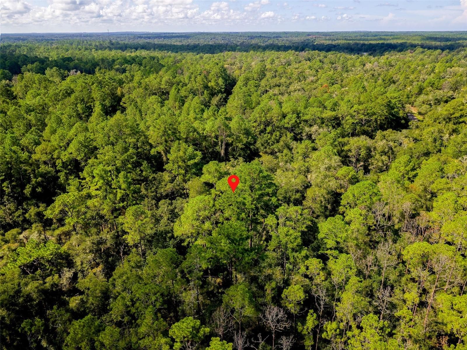 Land at 1163 E ODIN DR, CITRUS SPRINGS, photo 7 of 14