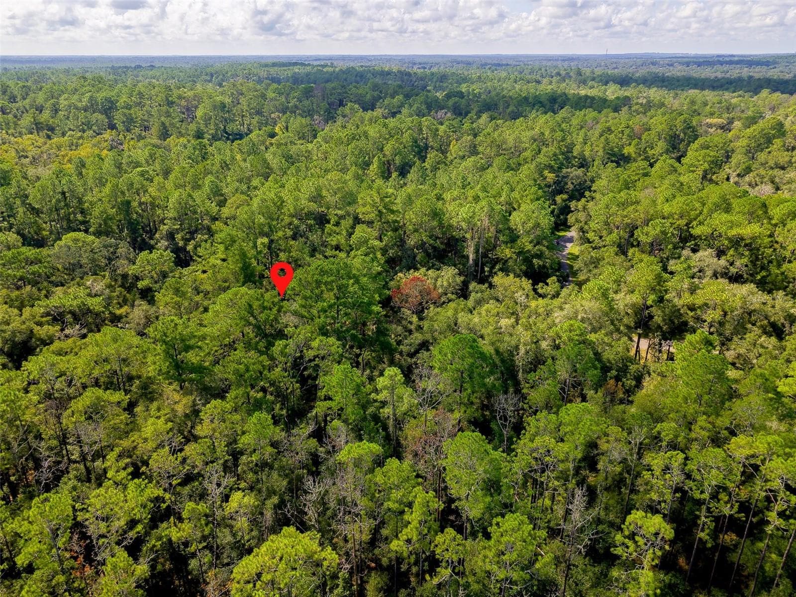 Land at 1163 E ODIN DR, CITRUS SPRINGS, photo 8 of 14