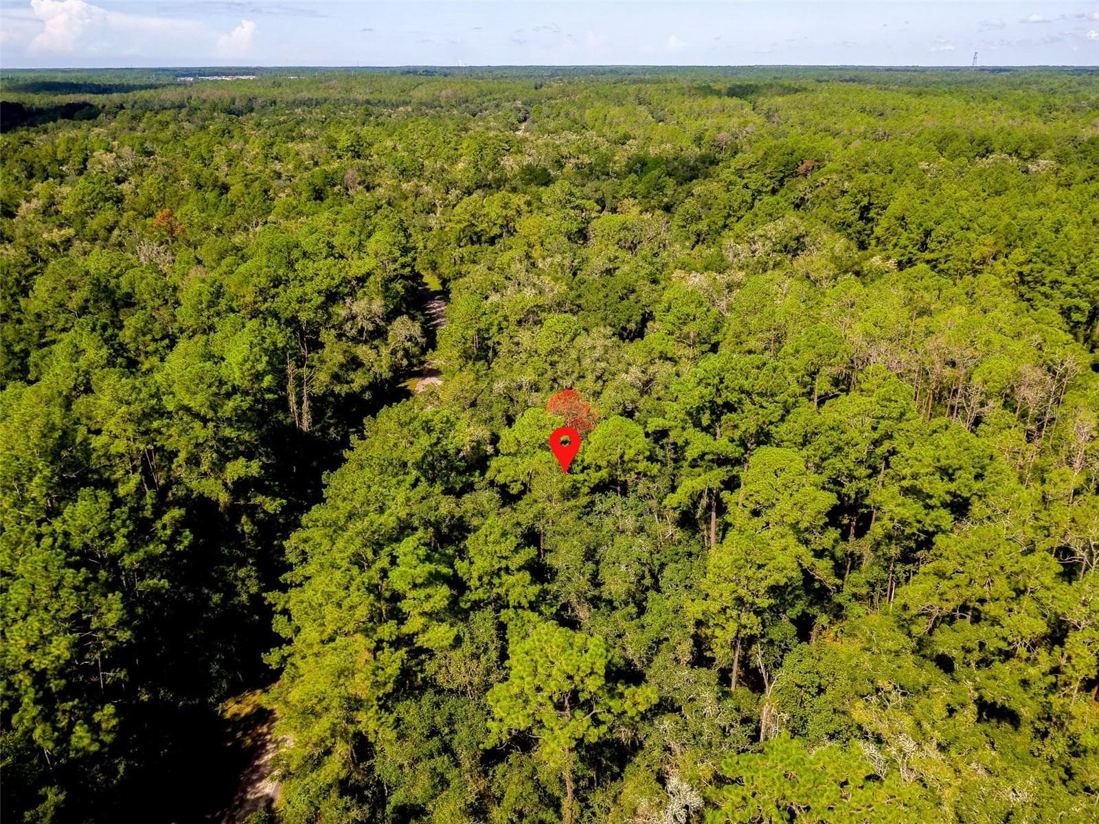 Land at 1163 E ODIN DR, CITRUS SPRINGS, photo 9 of 14