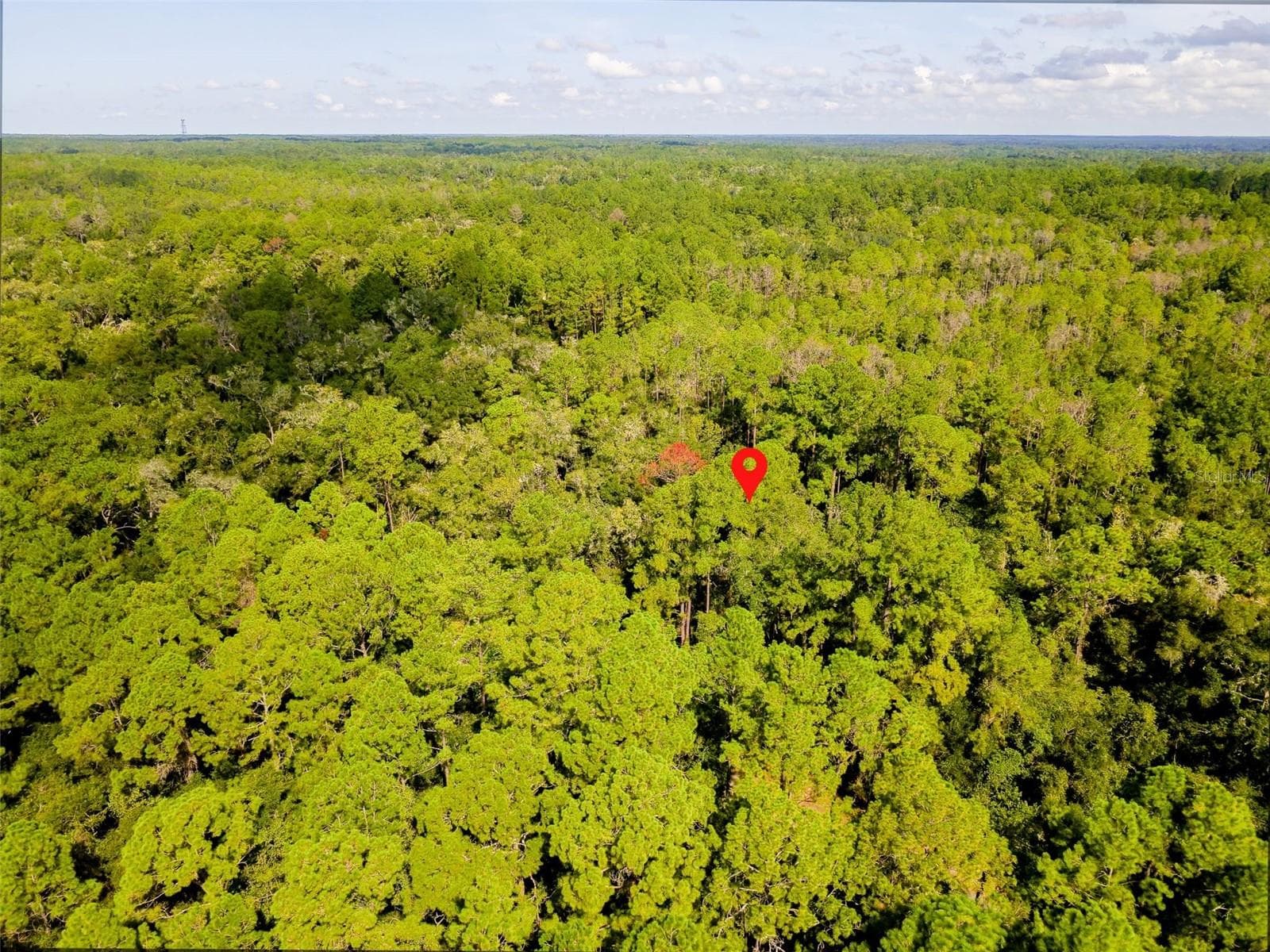 Land at 1163 E ODIN DR, CITRUS SPRINGS, photo 10 of 14